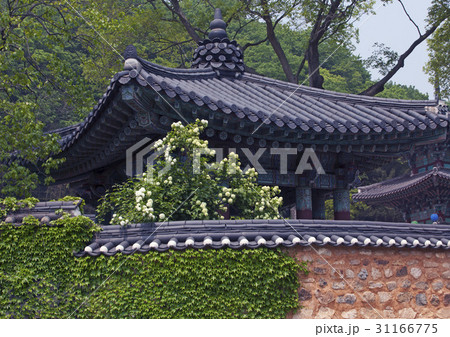 建築 仏教 サンボンサ 31166775