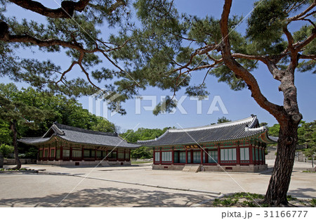 京春前 ソウル 昌慶宮 31166777