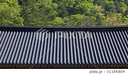 山 五台山 月精寺 31166804