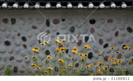 フェンス 塀 ソイル農園 31166811