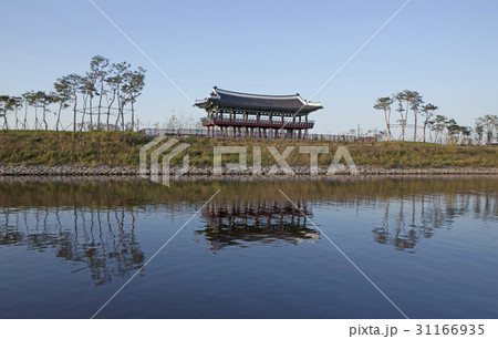 京仁アラ航路 桝ャ 水郷ルー 31166935