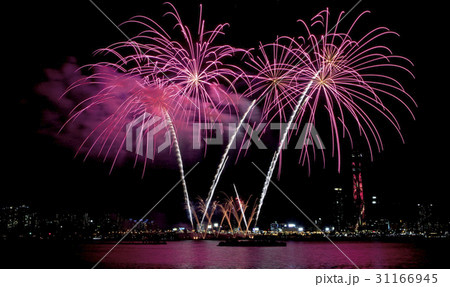 花火 ソウル 汝矣島 31166945