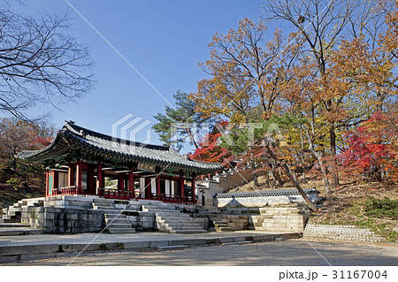 ソウル 映画ごとに 鍾路区 31167004