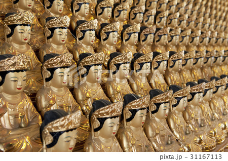 仏 釈迦 ブッダ 31167113