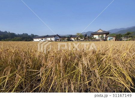 慶南 ノン 住宅 31167149