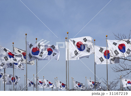 ソウル 太極旗 フラッタ 31167219
