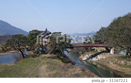 ガンソンデ 金剛 永同郡 31167221