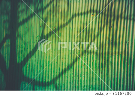 The shadow of a tree on Green metal 31167280