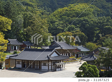 京畿道 キョンギド ゴリョンサン 31167325