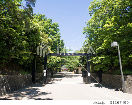 南山大学 正門 南山大学 正門 31167499