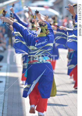 よさこい祭り 31167573