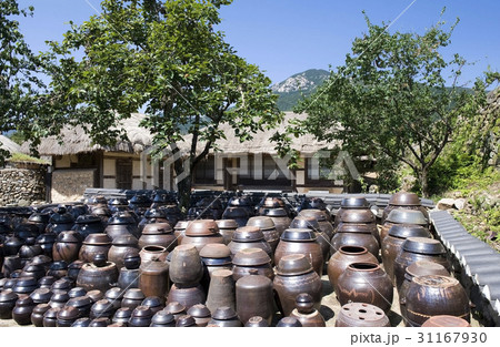楽安邑城 民俗村 かめ 31167930