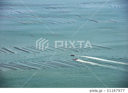 海 養殖場 全羅南道 31167977