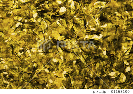 食べ物 フード 飲食物 31168100