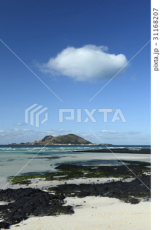飛揚島 済州島 済州市 31168207
