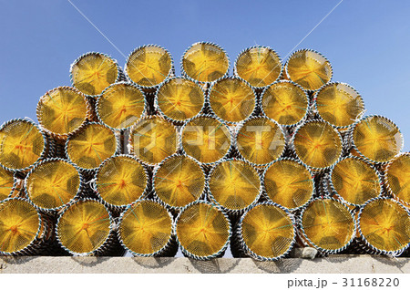 木浦市 漁業 全羅南道 31168220