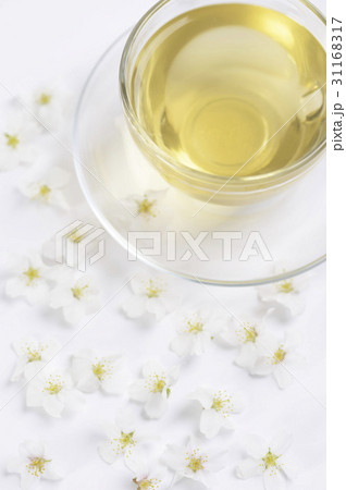 花 緑茶 桜 31168317