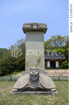 ムウィサ 宝物 ゼオライト 31168342