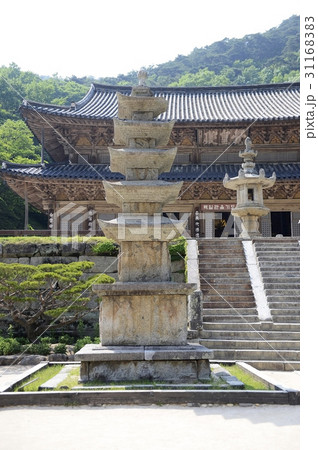 求礼郡 全羅南道 韓国 31168383