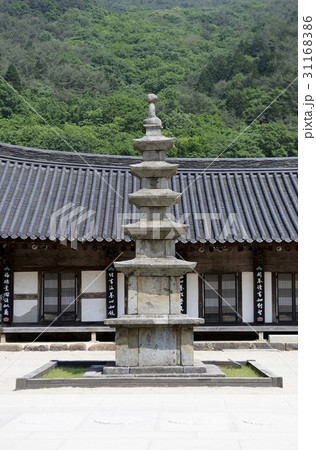 求礼郡 全羅南道 韓国 31168386