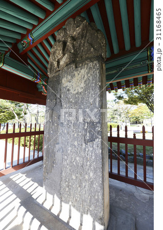 宝物 ゼオライト 韓国 31168465