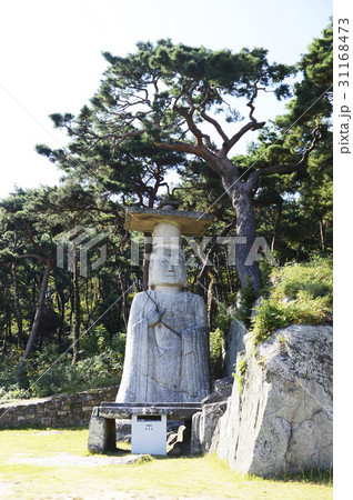 大調査 仏 仏教 31168473