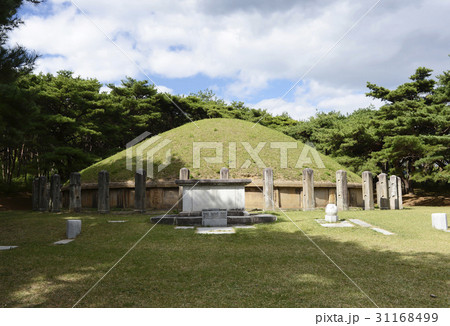 慶北 レース興徳王陵 陵 31168499