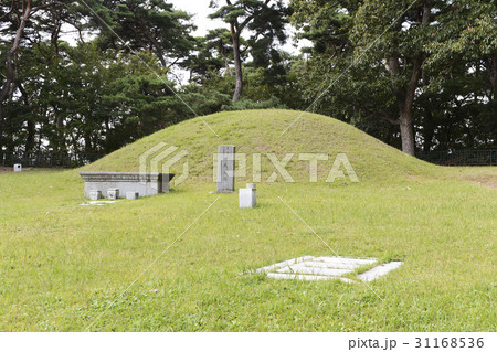 慶北 レース神武王陵 陵 31168536