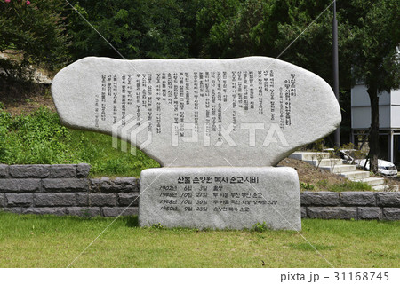 南 ゼオライト 韓国 31168745