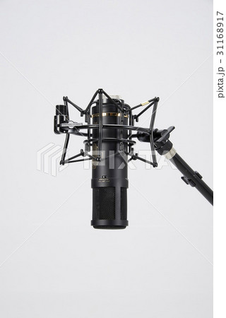 ヌキ 切り抜き マイク 31168917