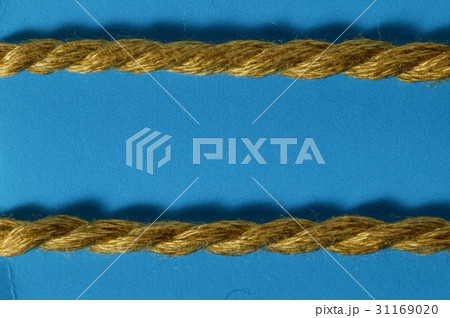 ヌキ 切り抜き ロープ 31169020