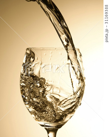 ヌキ 切り抜き セピア 31169388