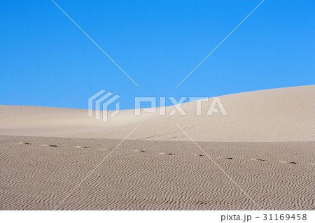 砂漠 屋外 室外 31169458
