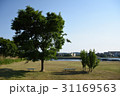 ベンチ 31169563