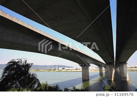 川 河 江東大橋 31169576