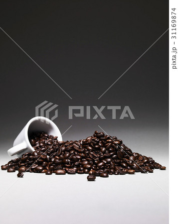 茶色 ソトアジム 豆 31169874