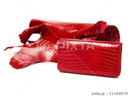 レザー ヌキ 切り抜き 31169979