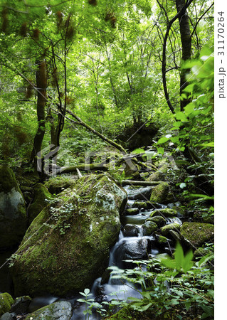 江原道 谷 寧越郡 31170264