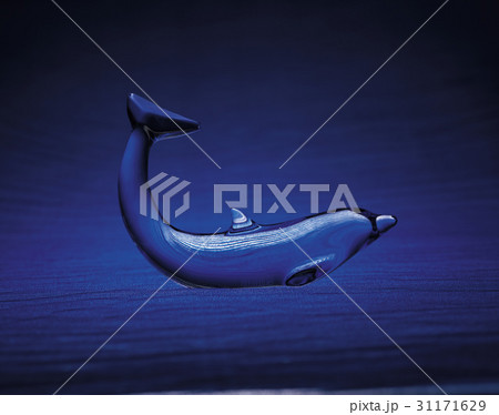 クジラ イルカ ガラス 31171629