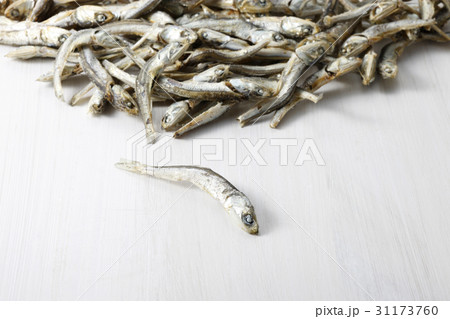 乾燥 アンチョビ 材料 31173760