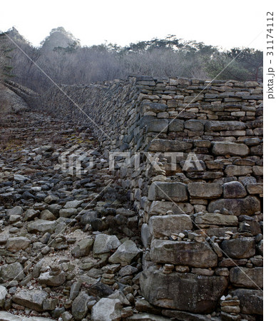 徳酸 酸 城壁 31174112