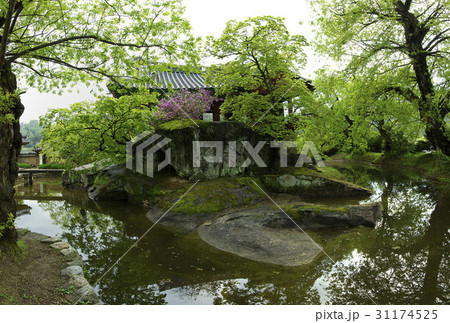 慶北 奉化郡 奉化ダルシル村 31174525