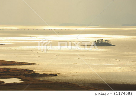 干潟 順天湾 順天市 31174693