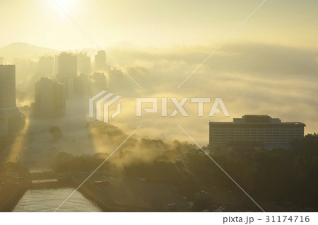 釜山 朝 霧 31174716