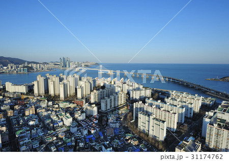 海 釜山 水平線 31174762