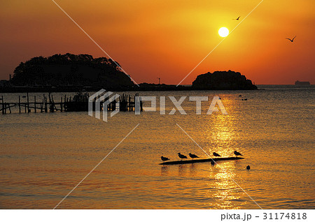夕焼け 多大浦 釜山 31174818