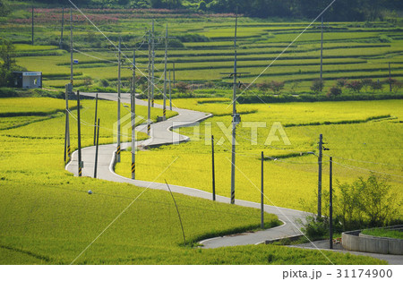 田畑 道路 全羅南道 31174900