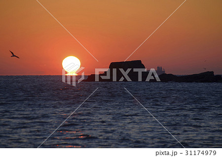 夕焼け 多大浦 海 31174979