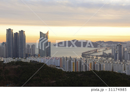高層マンション 広安大橋 釜山 31174985