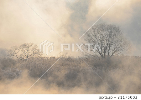 冬 昭陽江 霧 31175003